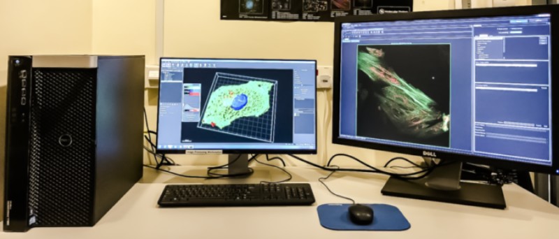 Image Processing Station | TLL